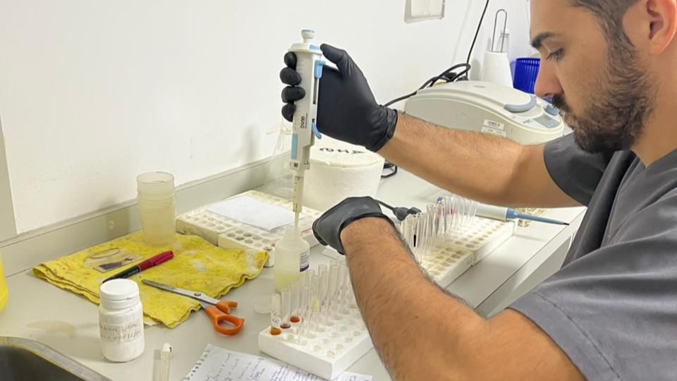 Técnico trabajando en el laboratorio