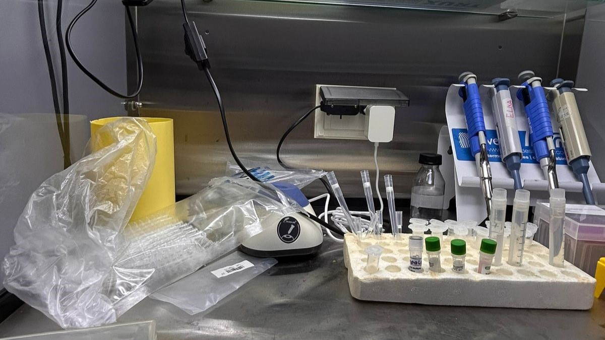 Mesa de trabajo con pipetas y reactivos