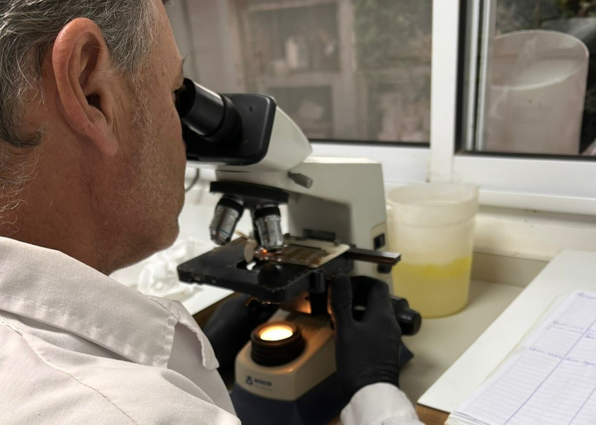 Laboratorio moderno